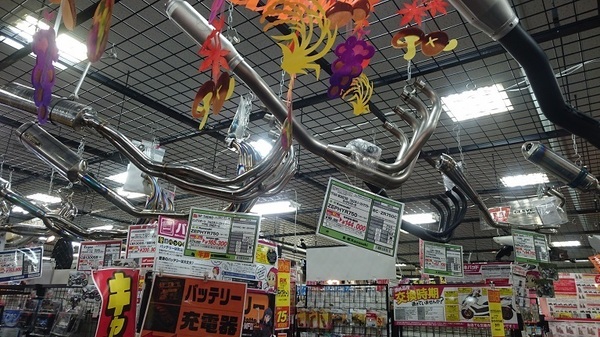 フルエキ1.jpg フルエキ1.jpg